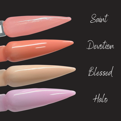 AnGel Builder Gel Bargain Box