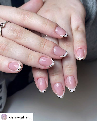 AnGel Builder Gel 25g Pot Faith