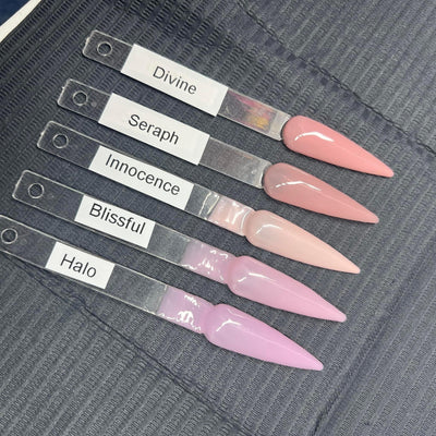 The Full AnGel Builder Gel Kit (with FREE conversion workshop) - Structured gel